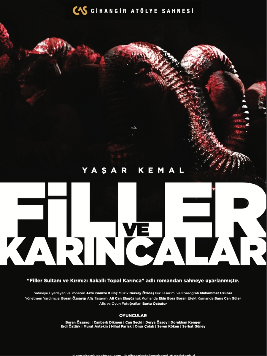 Filler Ve Karıncalar