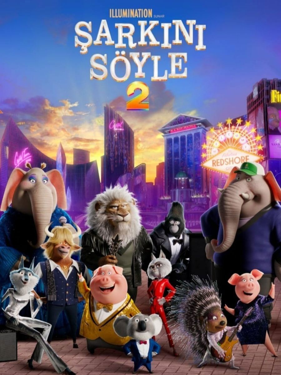 Şarkını Söyle 2